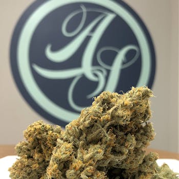 Maui Magilla Glue (SALE)